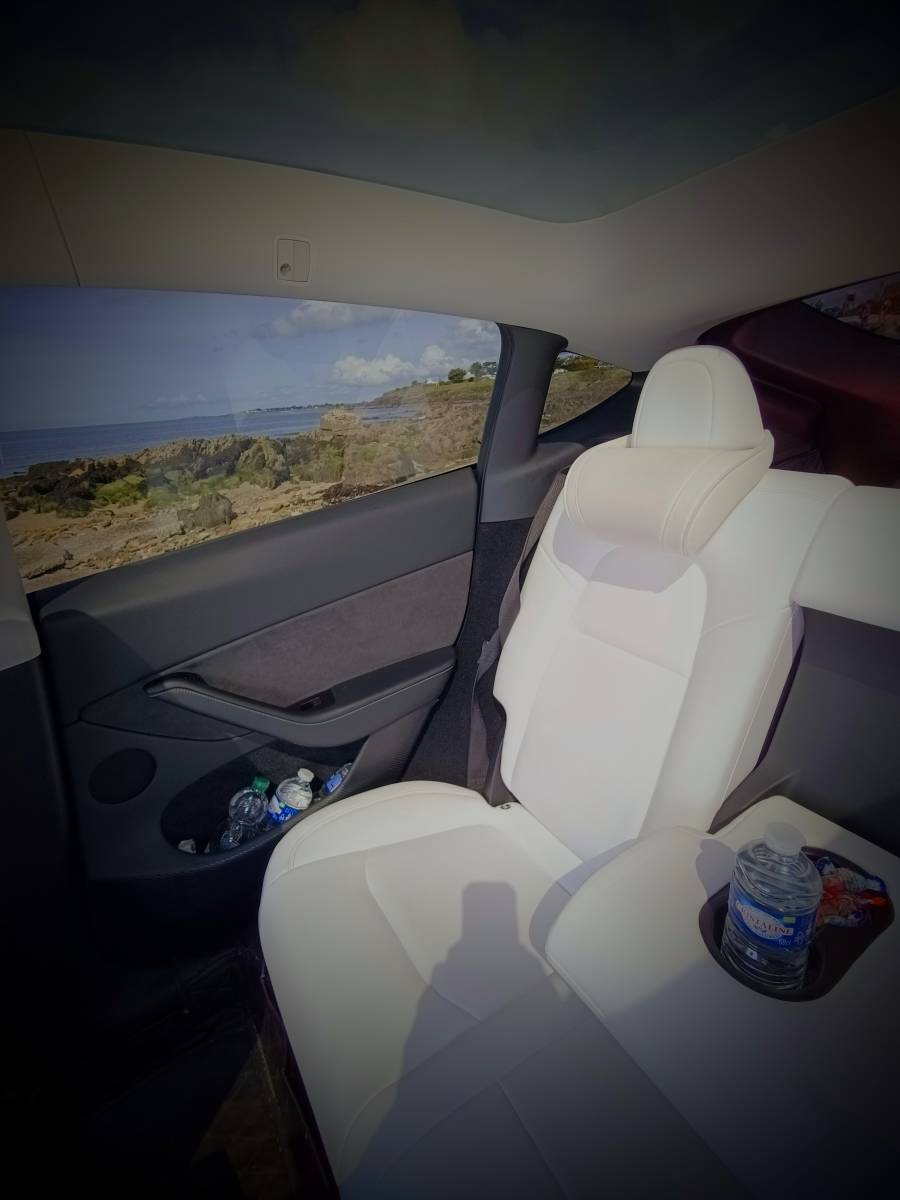 Chauffeur privé Tesla à la Gare de Brest pour transfert vers Plouzané et Saint-Renan